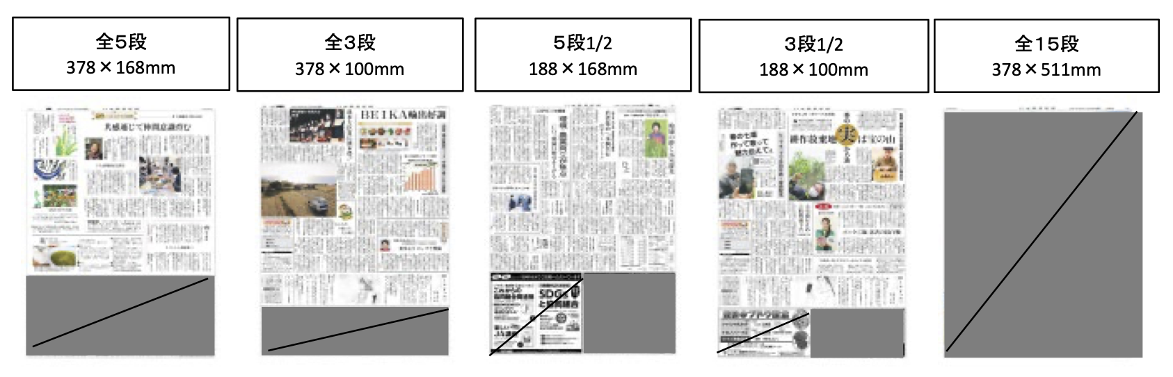 日本農業新聞 ブロック版の広告サイズ