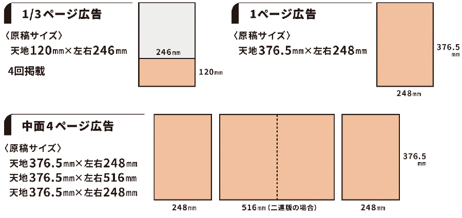 読売中高生新聞の広告サイズ